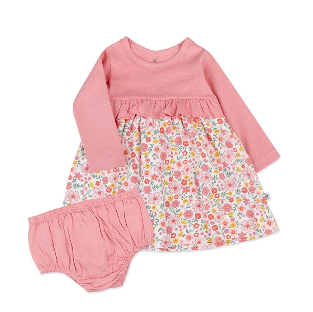 The Honest Company Girls' 100% Organic Cotton Long Sleeve Party Dress 6-9